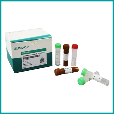 畢赤酵母殘留DNA檢測試劑盒（qPCR-探針法）