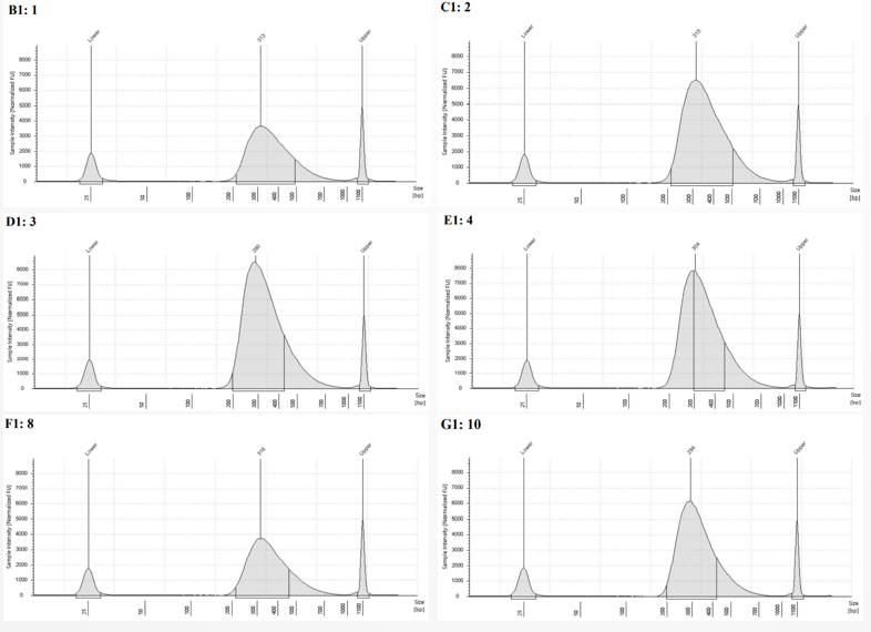 圖片2.png undefined