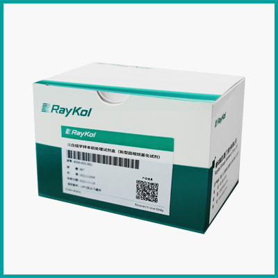 蛋白組學樣本前處理試劑盒（新型固相烷基化試劑）