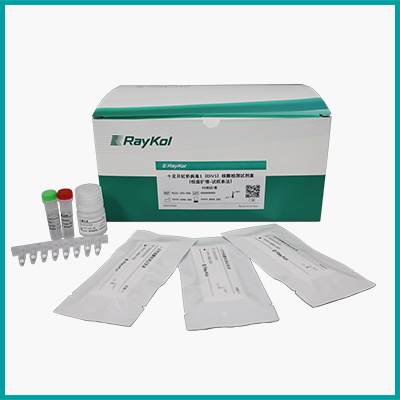 蝦病原恒溫擴增定性檢測解決方案