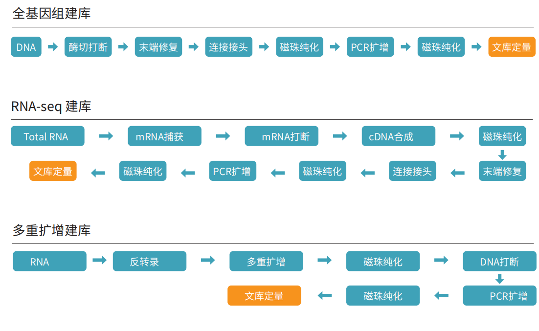 睿科_Vitae 180 NGS-96建庫儀 202504_03(1).png 睿科_Vitae 180 NGS-96建庫儀 202504_03(1).png